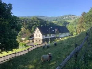 Berg Blick Eifler Bauernhaus modern restauriert - Dedenborn