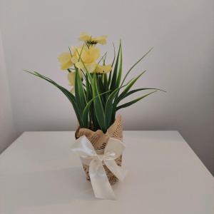 Comfort Lovely Apartment Diva 4, Čiovo, Okrug