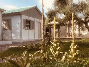 Barreira Beachfront Rooms 4 - Mystras