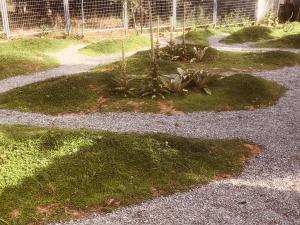 Barreira Beachfront Rooms 4