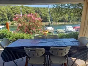 Apartment Fig - Dubrava