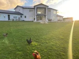 Kingsdale lounge - Woodville