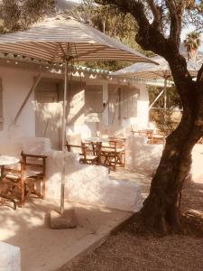 Barreira Beachfront Rooms 6