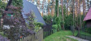 Domek letniskowy nad jeziorem, Mazury