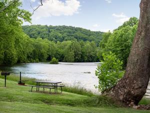 Shenandoah dog friendly cabin in the trees - River access, BBQ, propane fire pit, outdoor dining & lounging, wood fireplace, screened in front porch and gated back deck!
