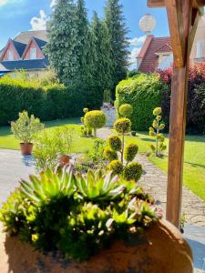 Tünde NENE Apartman