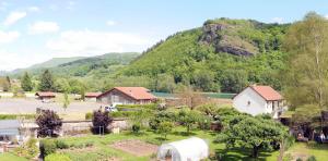 Maisons de vacances Gite en duplex 4 personnes, Vallee de la Jordanne, Cantal : photos des chambres
