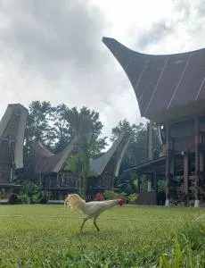 Toraja Homestay & Coffee Bunna - Makale
