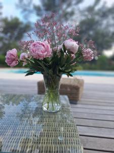 TINY HOUSE avec piscine "La Bernadette" villa Sisyphe