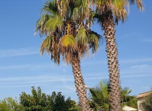 Appartements Kylian-s Dream T4 meuble 4 etoiles 5mn des plages Perols : photos des chambres