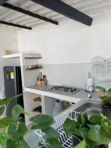 Aptos Villamar Palomino