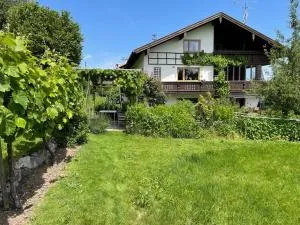 Apartment Am Weinberg - Reit