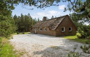 Pet Friendly Home In Ringkøbing