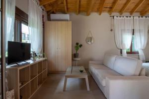Nerium - Golden Fig Sykia lodge