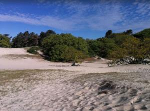 Villa bij bos en centrum