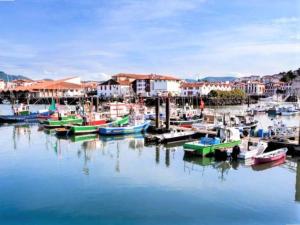 Appartements Appartement moderne en centre-ville avec balcon et parking a 400m de la plage - FR-1-4-693 : Appartement
