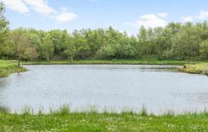 Lovely Home In Ringkøbing With Kitchen