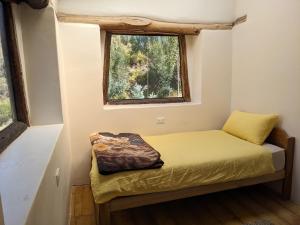 Elegua Casa Medicina