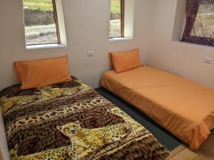 Elegua Casa Medicina