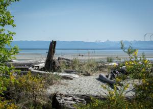 Windslow Guest Suite at Kye Bay