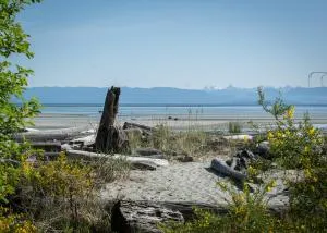 Windslow Guest Suite at Kye Bay - Vananda