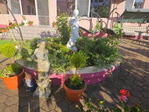 La Fery din Costinesti