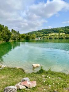 Maisons de vacances Spacious character house in beautiful Montcuq : photos des chambres