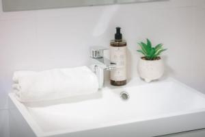 3B Bright Beautiful Newly Renovated 3BR
