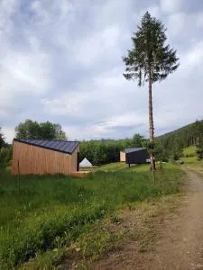 Sabasa Forest Retreat - Pîţîligeni