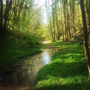 Maisons de vacances La mise en Seine : photos des chambres