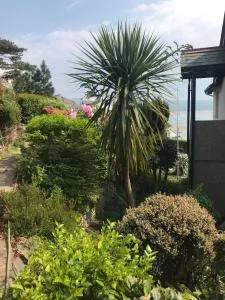 Brig-y-Don - Scyborycoed