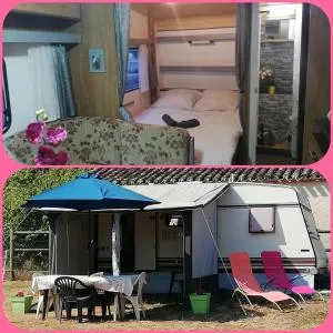 Séjour à la ferme - Labastide-de-Penne