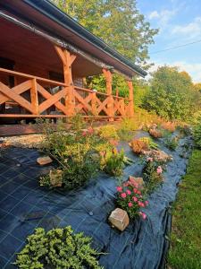 Zielony Zakątek 668 - 415 - 737