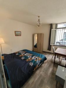 Appartement chaleureux dans le centre de Béziers