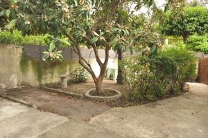 Appartements Studio independant avec jardin : photos des chambres