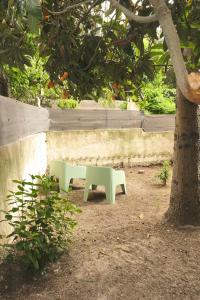 Appartements Studio independant avec jardin : photos des chambres