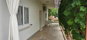 One-Bedroom Apartment room in Apartment Cvita