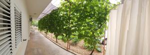 Apartment Cvita 