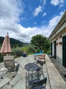 Il Giardino di Piero - LT-0029 - 默康内希