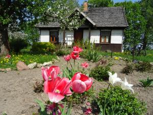 Jastrzębie Kąty Gospodarstwo Rolne