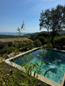 Villages vacances Residence U Pirellu : photos des chambres
