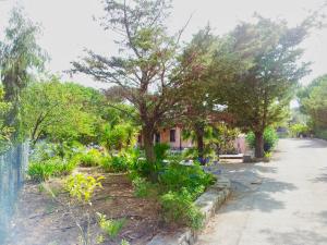 Casale La Magnolia - Capo Perla Apartments