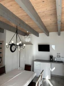 Domki letniskowe nad morzem