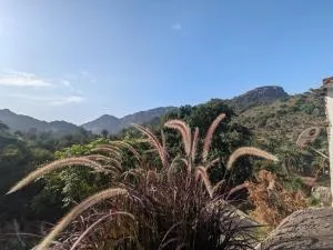 Cave Canvas - Kivarli