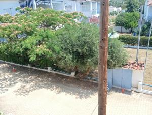 Sunny Apartment Gerakini Beach, Halkidiki