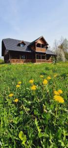 Căsuța din Zăvoaie