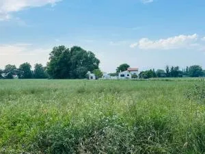 Domaine la bergerie st cyprien Internet 4 chambres - Latour-Bas-Elne