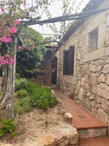 Dream holiday in Cala Granu