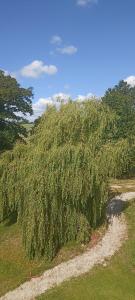 Maisons d'hotes Les Bucoliques de la Noe : Chambre Double - Vue sur Jardin