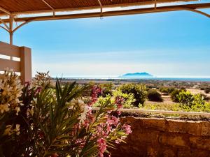 Alencio Panorama Residence